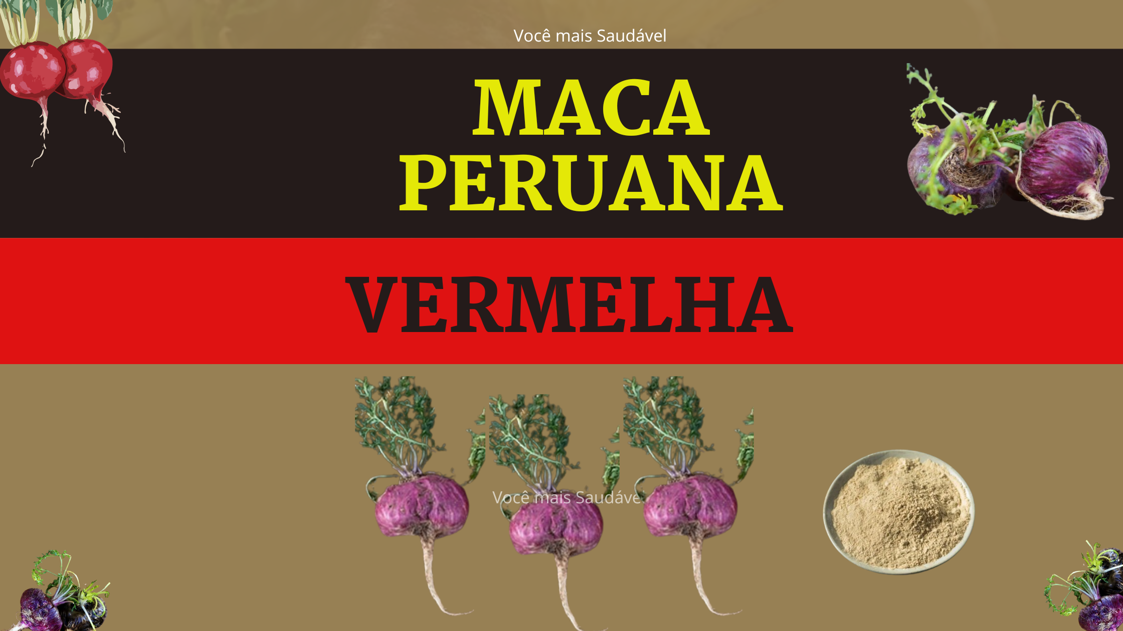 Maca Vermelha: Descubra os Benefícios